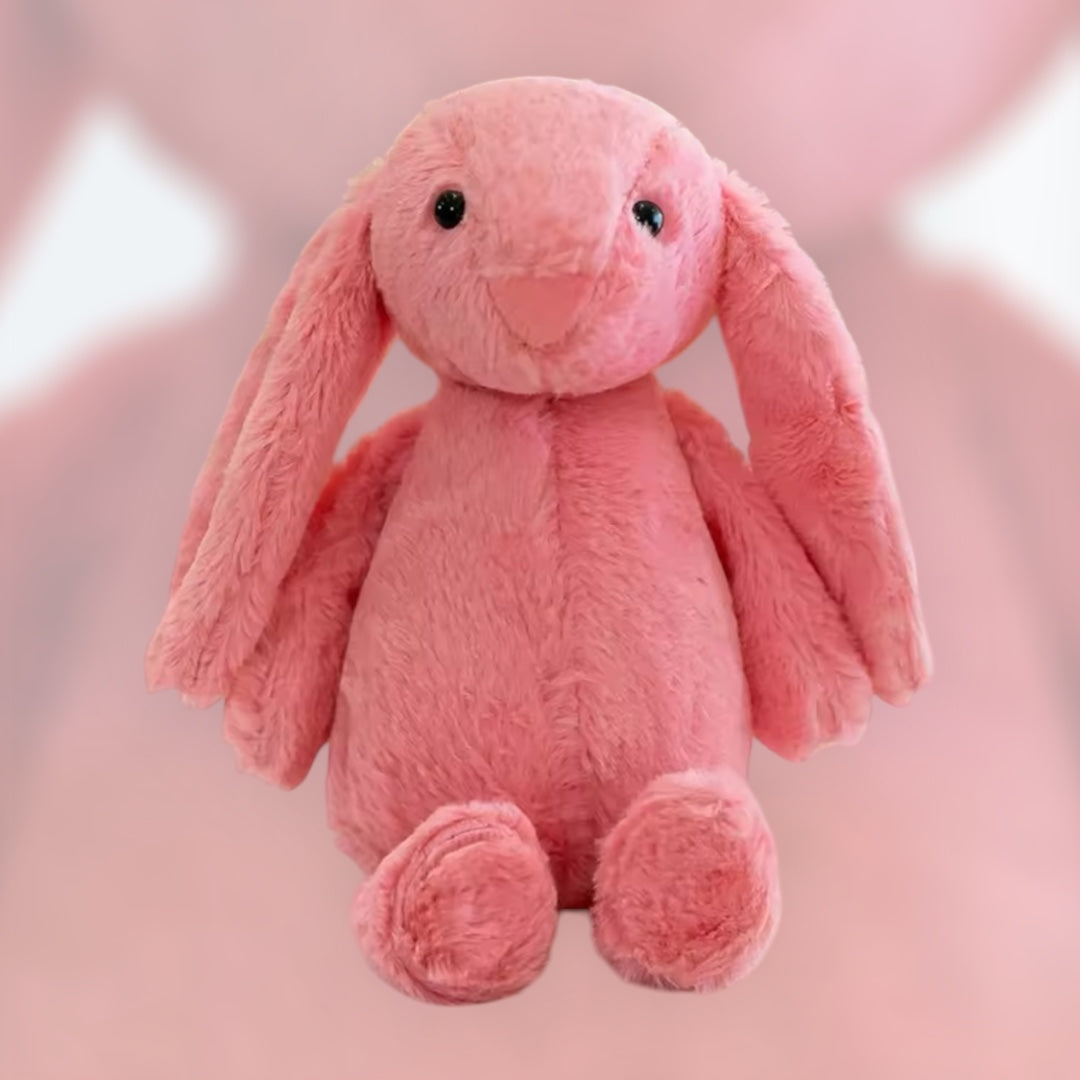 Soft cuddly personalised bunny 30cm