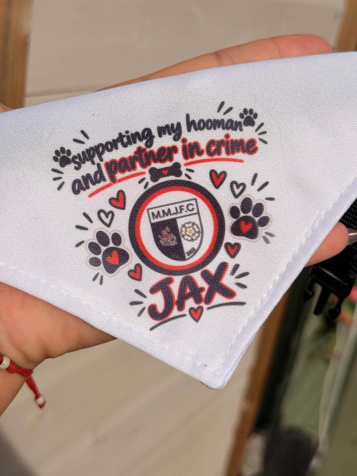 Personalised sublimated dog collar with custom partner in crime design