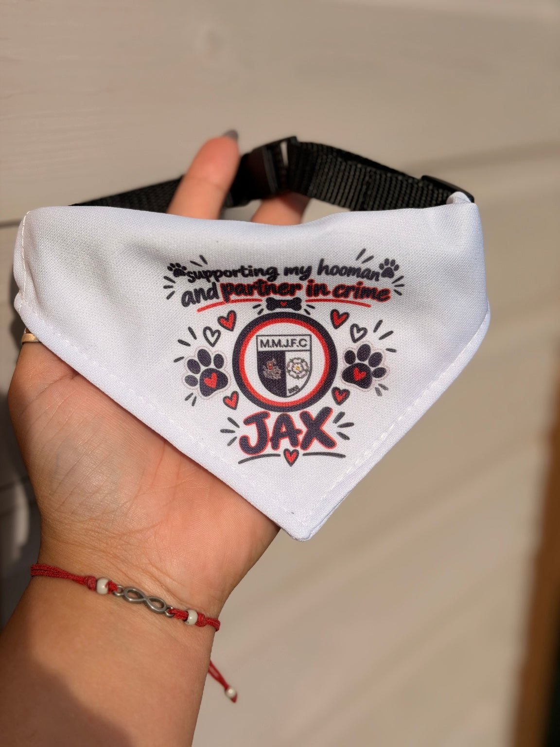 Personalised sublimated dog collar shown on a dog